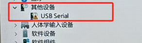 其他设备中的USB Serial