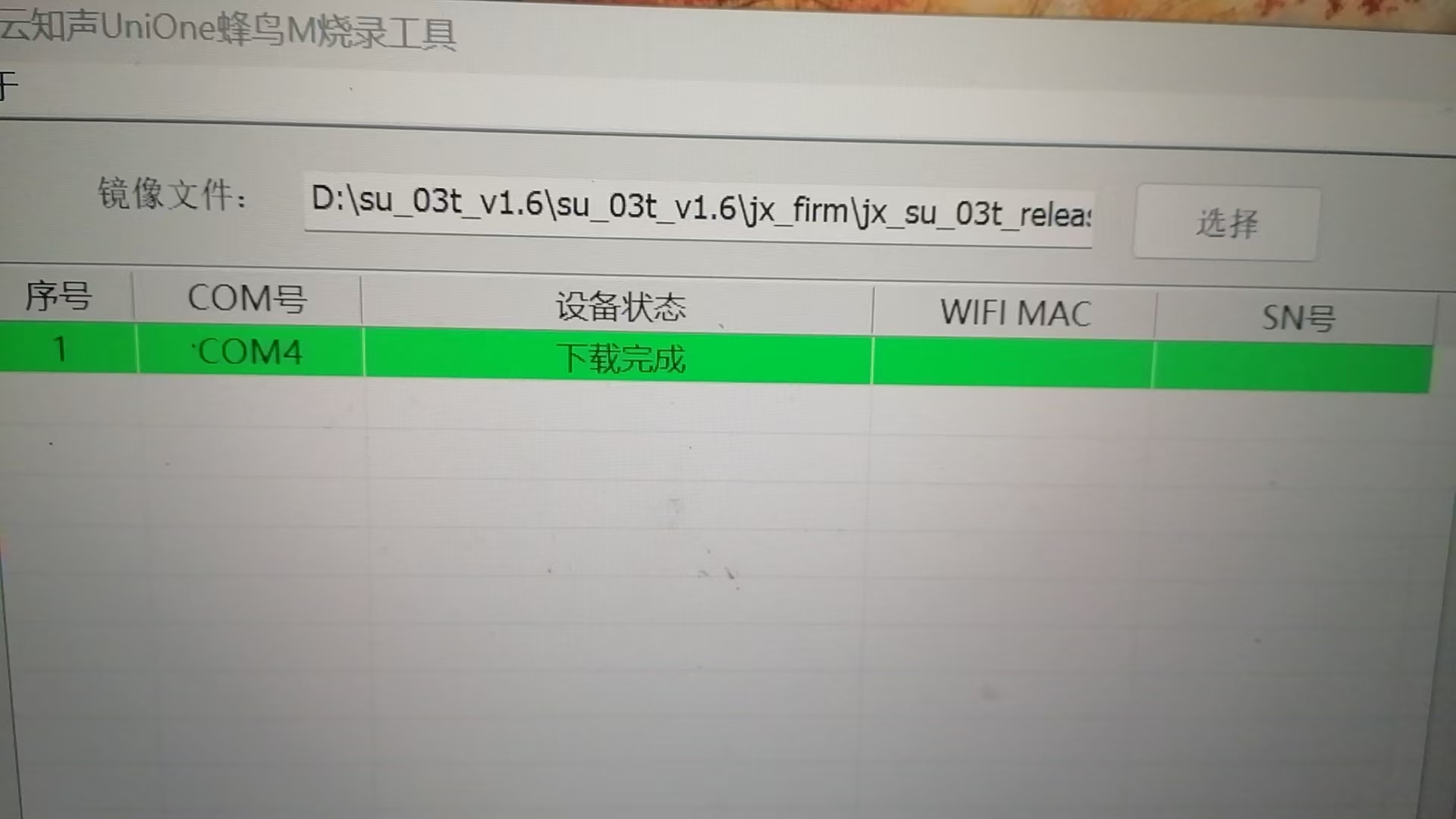 正常烧录状态显示为绿色