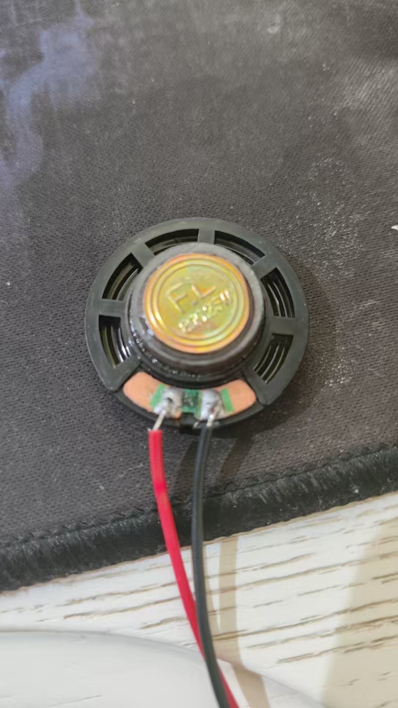 烧毁的喇叭线圈